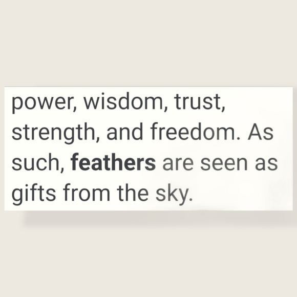 Native Am Thunderbird/Feather/Whip Charm Necklace - Picture 10 of 16